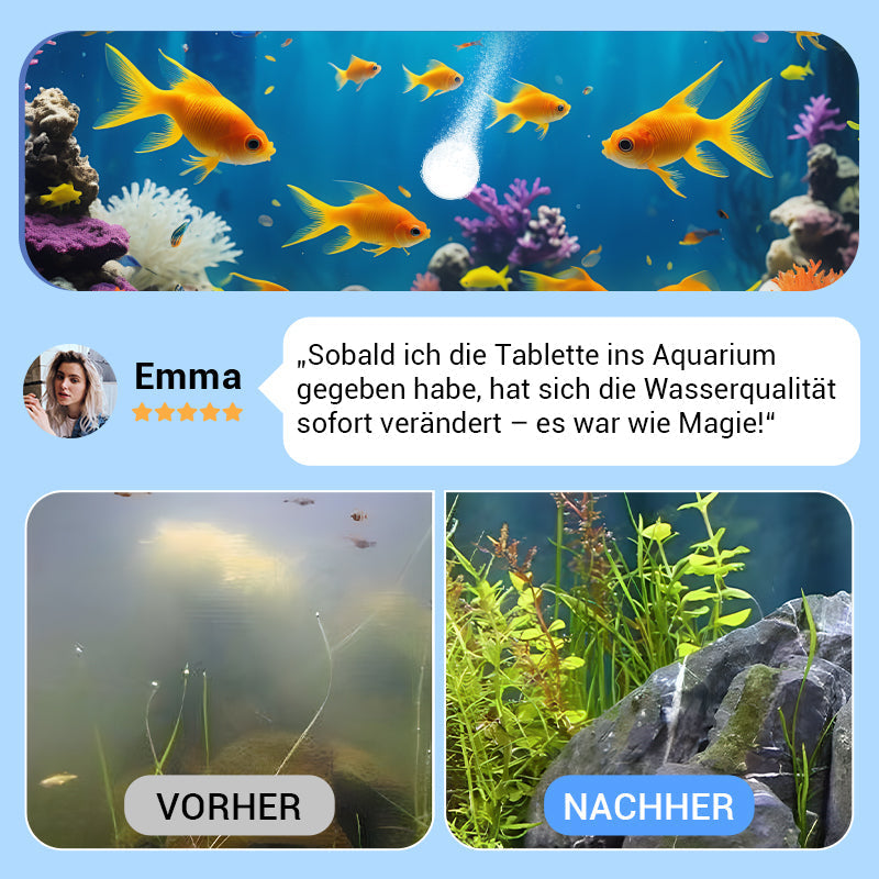 🖤Black Friday 50 % Rabatt 💥🚀Kaufen 2 und erhalten 1 gratis♻️💧Leistungsstarke Wasserreinigungstablette für Aquarien