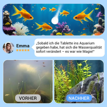 🖤Black Friday 50 % Rabatt 💥🚀Kaufen 2 und erhalten 1 gratis♻️💧Leistungsstarke Wasserreinigungstablette für Aquarien