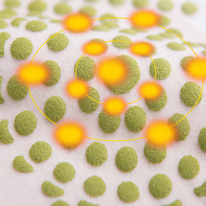 ⏳Begrenzte Zeit 50% Rabatt💥🌸🌸Winter-High-Stretch-Taillenprotektor für Frauen