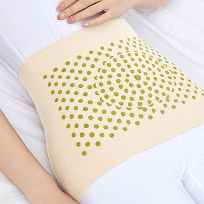 ⏳Begrenzte Zeit 50% Rabatt💥🌸🌸Winter-High-Stretch-Taillenprotektor für Frauen