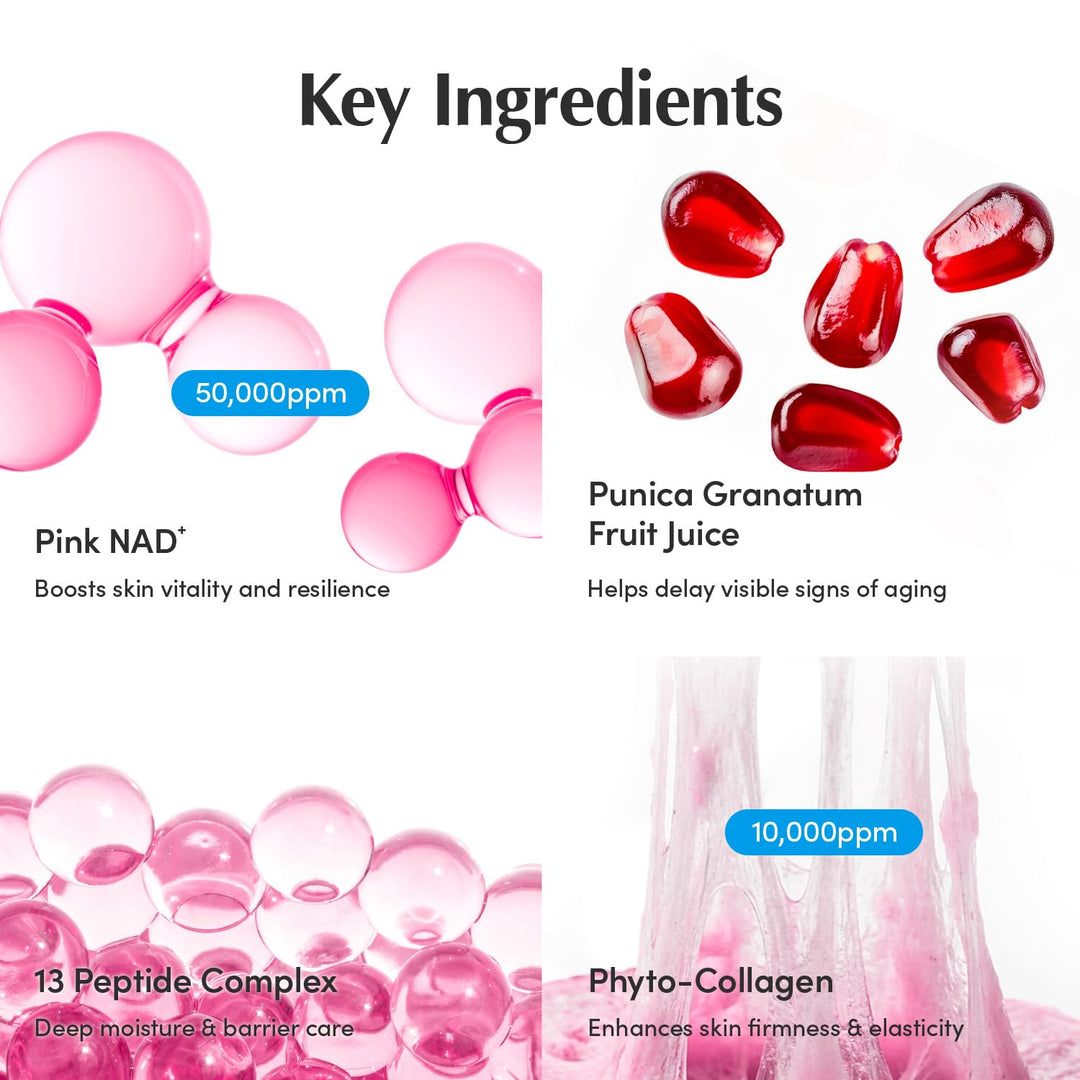 EQQUALBERRY NAD+ Peptide Boosting Cream – NAD+ 5% &amp; 13 Peptides Anti-Aging Korean Skincare Face &amp; Body Cream | Firming &amp; Lifting Pink Neck Cream for Sagging Skin (1.69 fl.oz / 50ml)