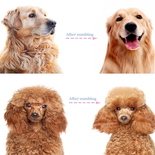 🐶Dual-Sided Pet Grooming Comb for Dogs &amp; Cats