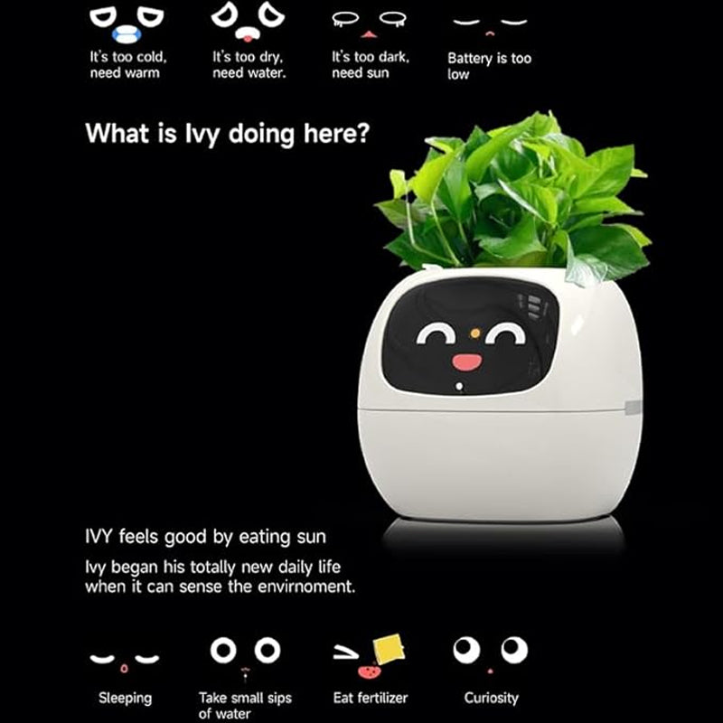 Fun Smart Flowerpot with Multiple Expressions, Plant-Free