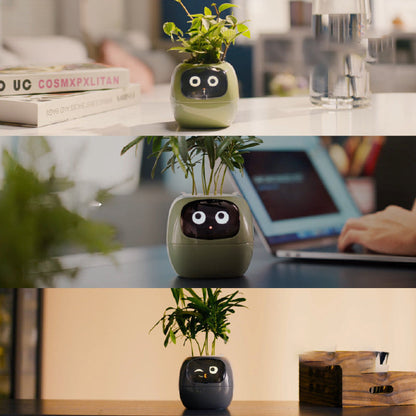 Fun Smart Flowerpot with Multiple Expressions, Plant-Free