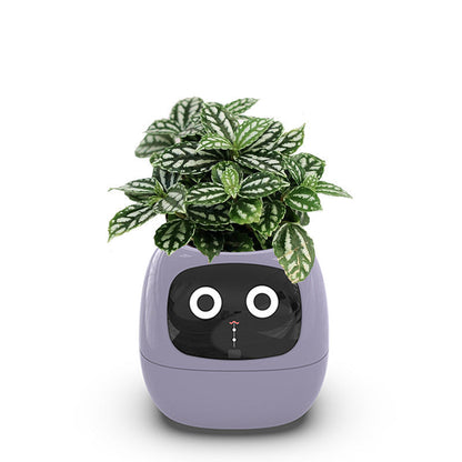 Fun Smart Flowerpot with Multiple Expressions, Plant-Free