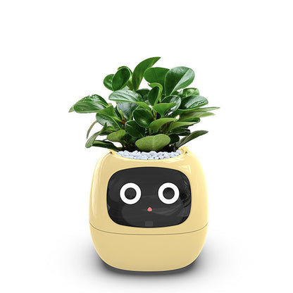 Fun Smart Flowerpot with Multiple Expressions, Plant-Free