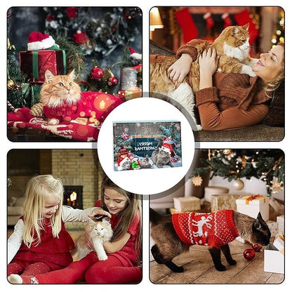 🎄🎁2025 Weihnachts-Countdown-Adventskalender mit Spielzeug für Katzen und Hunde🐾🥳
