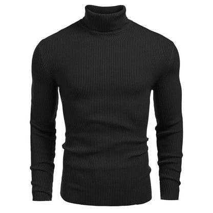 🔈🔈60% OFF🔥Winter Men's Knitted Turtleneck Slim Sweater