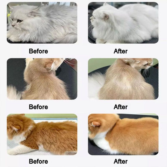 Pet Shiny and Smooth Hair Care Conditioner
