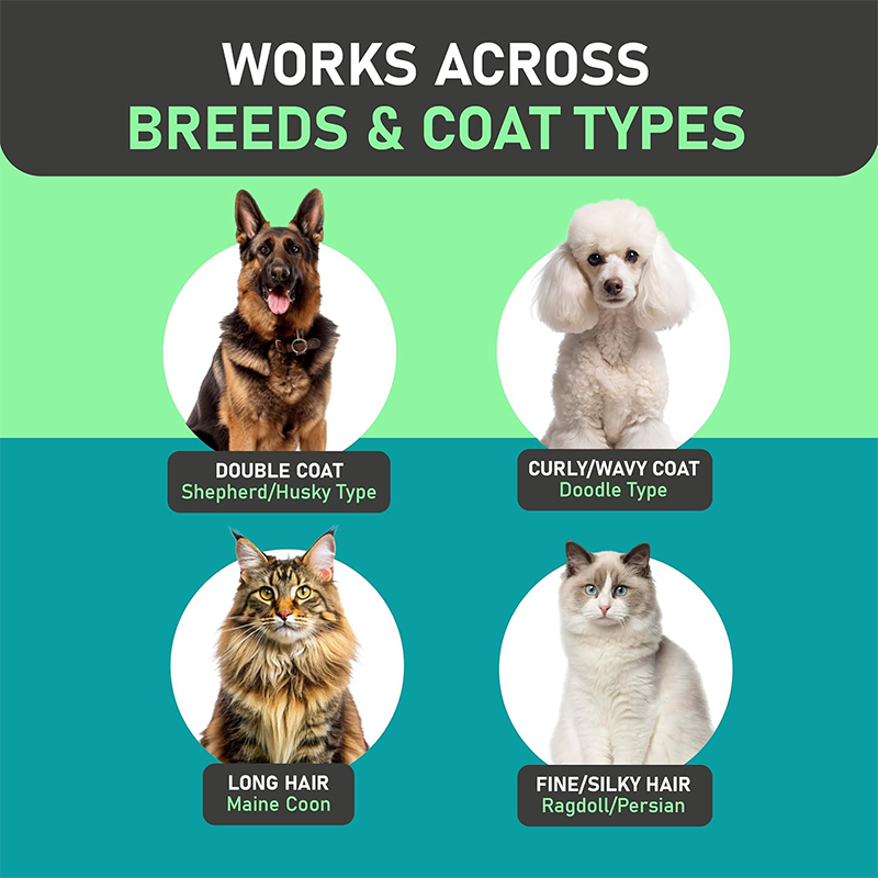 🐶🐱 Pet Owners&